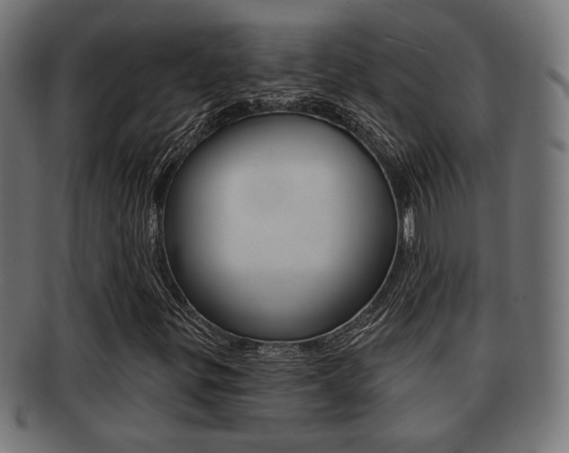 X0000091971299200709061124