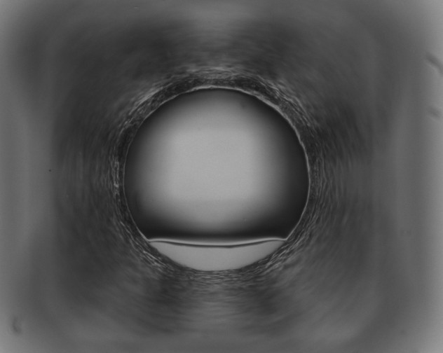 X0000091971301200709061124