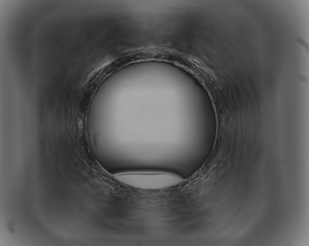 X0000091971302200709061124