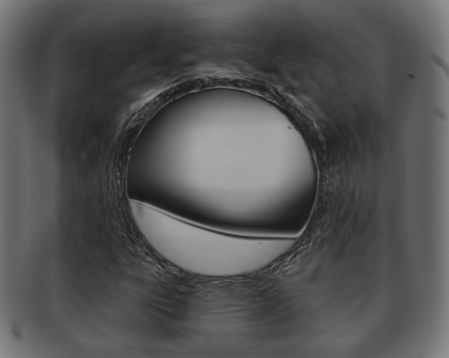 X0000091971303200709061124