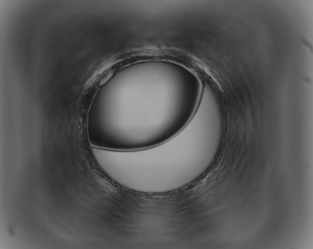 X0000091971304200709061124