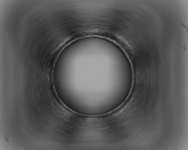 X0000091971305200709061124