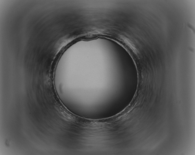 X0000091971308200709061124