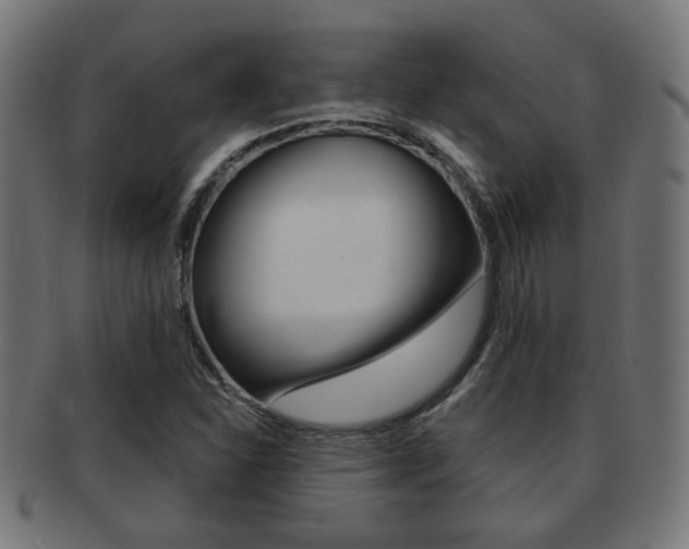X0000091971310200709061124