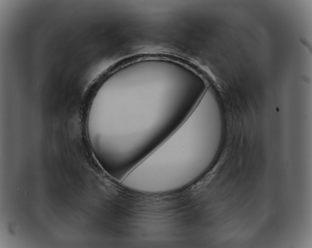 X0000091971311200709061124