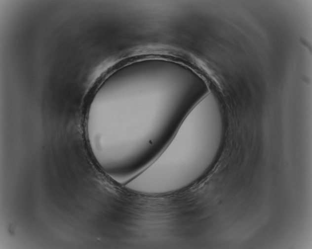 X0000091971312200709061124