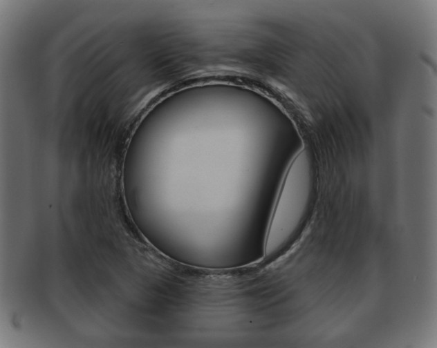 X0000091971313200709061124