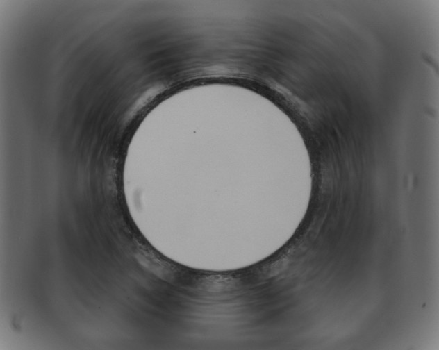X0000091971314200709061124