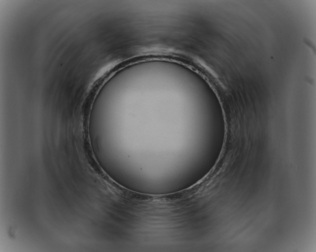 X0000091971315200709061124