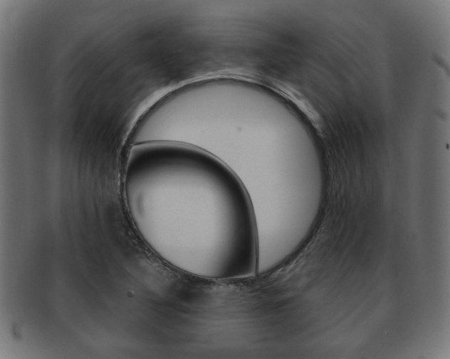 X0000091971316200709061124