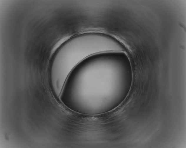 X0000091971317200709061124