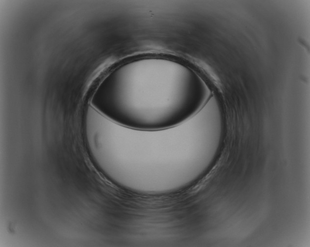 X0000091971318200709061124