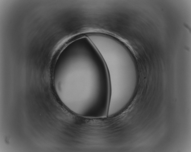 X0000091971319200709061124
