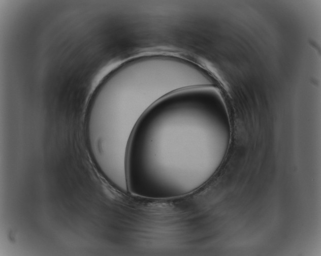 X0000091971320200709061124