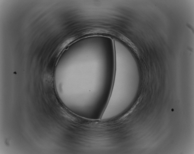 X0000091971321200709061124