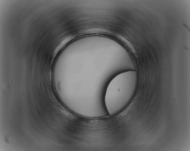 X0000091971322200709061124