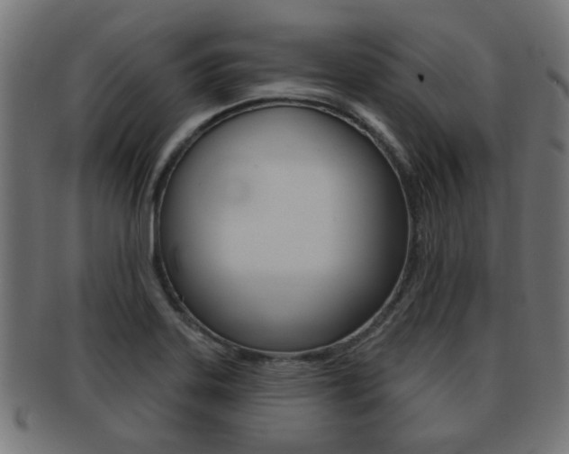X0000091971323200709061124
