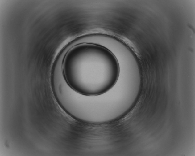 X0000091971326200709061124