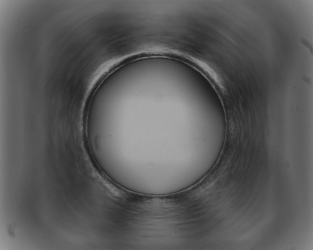 X0000091971327200709061124