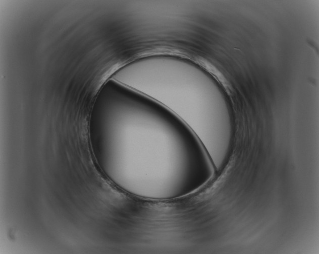 X0000091971329200709061124