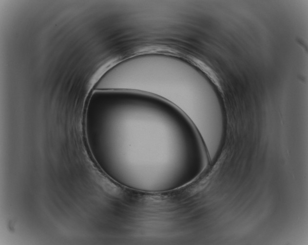 X0000091971330200709061124