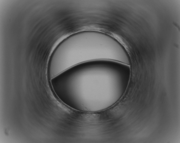 X0000091971331200709061124