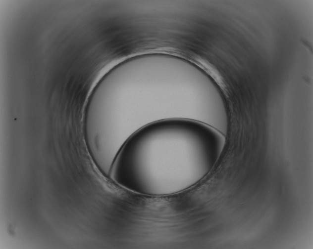 X0000091971332200709061124