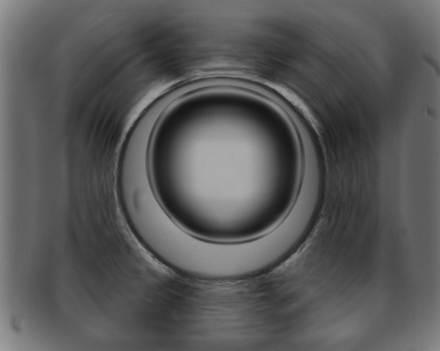 X0000091971333200709061124