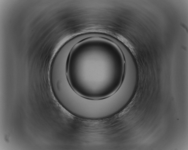 X0000091971334200709061124