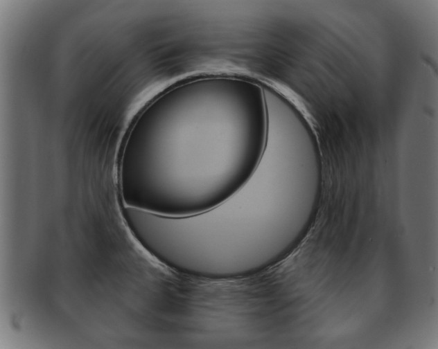 X0000091971335200709061124