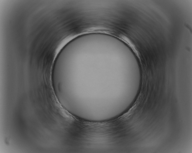 X0000091971336200709061124