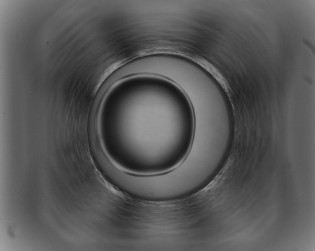 X0000091971337200709061124