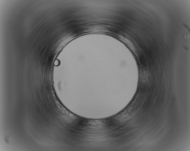 X0000091971338200709061124
