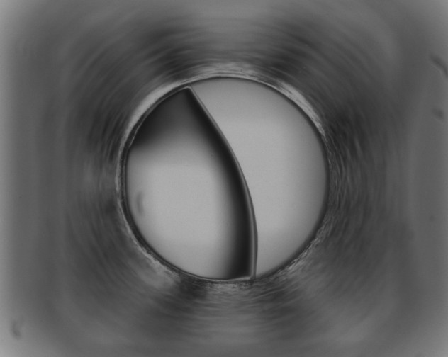 X0000091971339200709061124