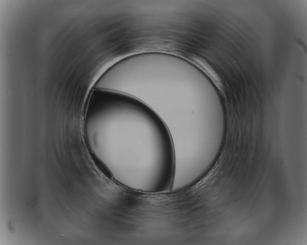 X0000091971340200709061124