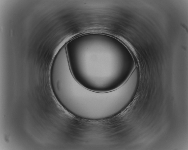 X0000091971341200709061124