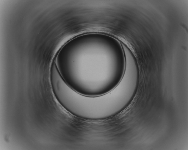 X0000091971342200709061124