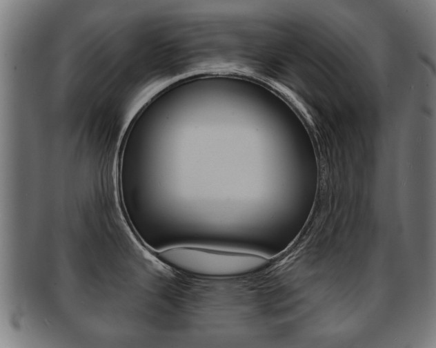 X0000091971343200709061124