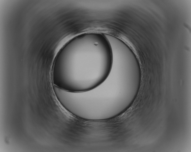 X0000091971344200709061124
