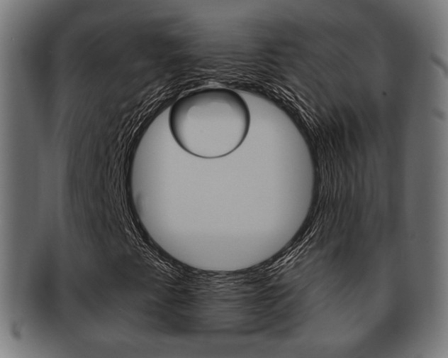 X0000091971345200709061124
