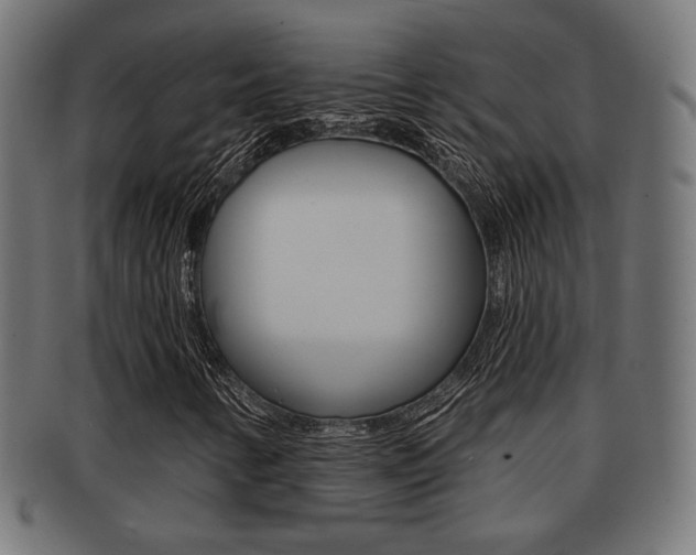 X0000091971346200709061124