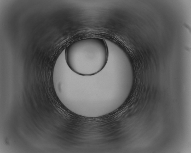 X0000091971348200709061124