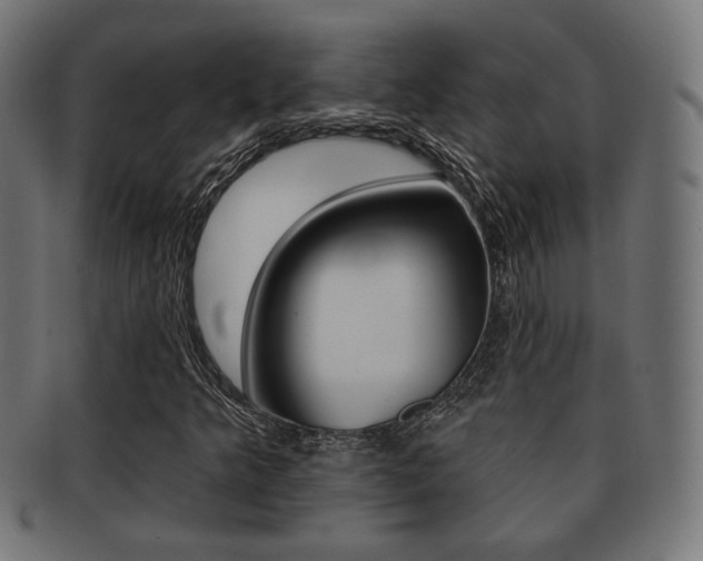 X0000091971349200709061124