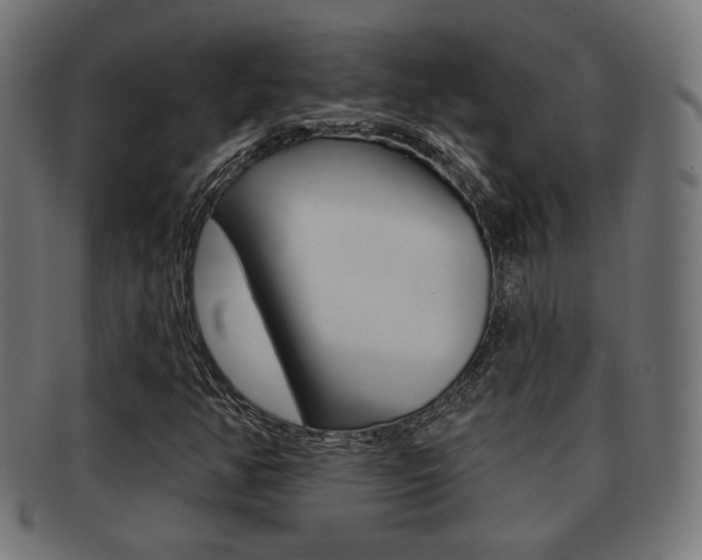 X0000091971350200709061123