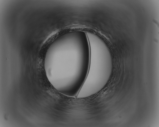 X0000091971351200709061123