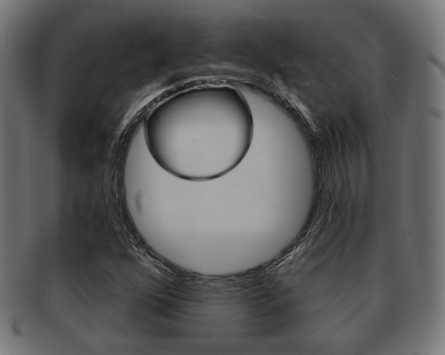 X0000091971352200709061123