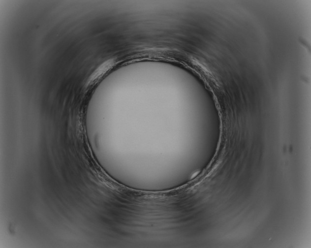 X0000091971354200709061123
