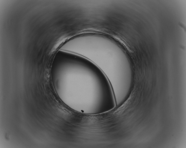 X0000091971355200709061123