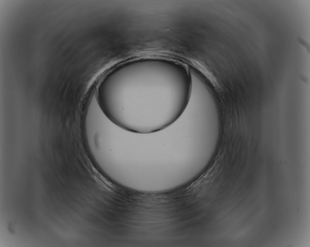 X0000091971356200709061123