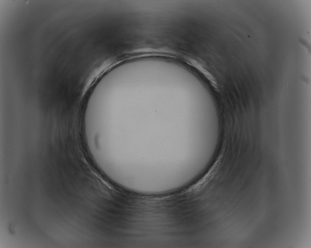 X0000091971357200709061123